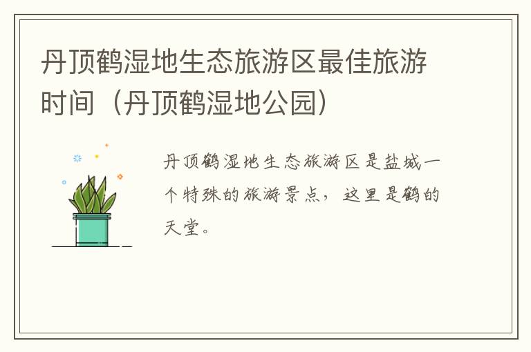 丹顶鹤湿地生态旅游区最佳旅游时间（丹顶鹤湿地公园）