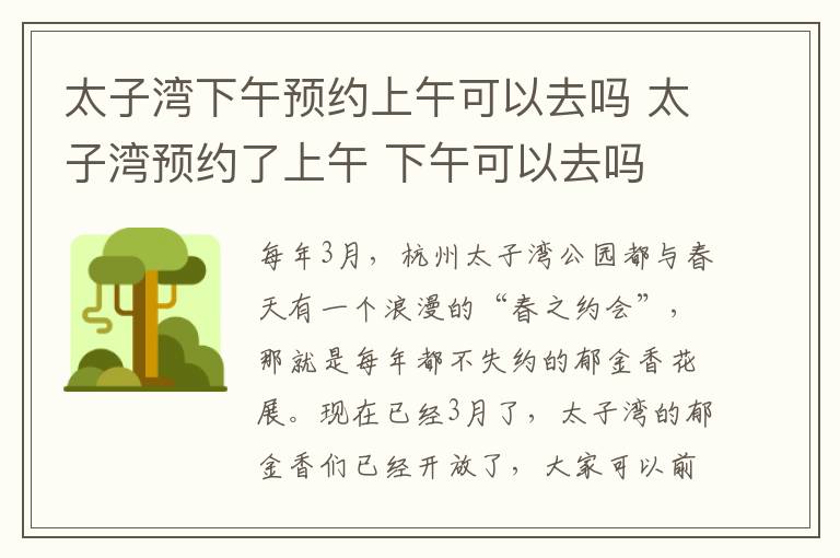 太子湾下午预约上午可以去吗 太子湾预约了上午 下午可以去吗
