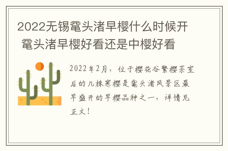 2022无锡鼋头渚早樱什么时候开 鼋头渚早樱好看还是中樱好看