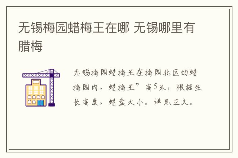 无锡梅园蜡梅王在哪 无锡哪里有腊梅