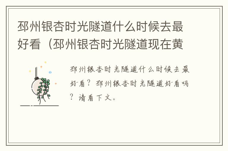 邳州银杏时光隧道什么时候去最好看（邳州银杏时光隧道现在黄了吗）