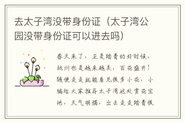去太子湾没带身份证（太子湾公园没带身份证可以进去吗）