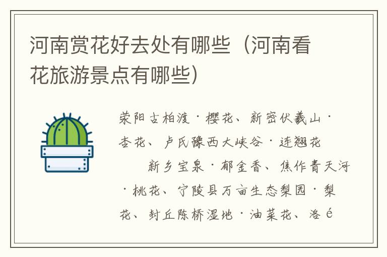 河南赏花好去处有哪些（河南看花旅游景点有哪些）