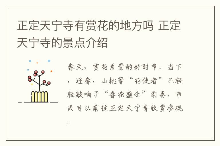 正定天宁寺有赏花的地方吗 正定天宁寺的景点介绍