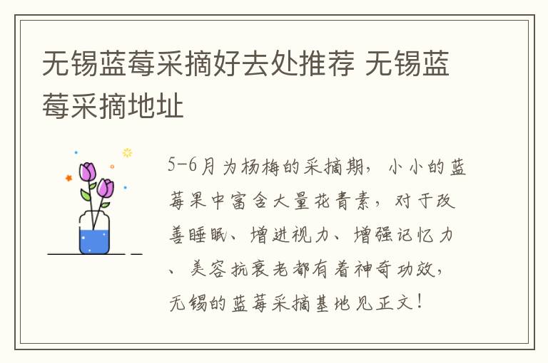 无锡蓝莓采摘好去处推荐 无锡蓝莓采摘地址