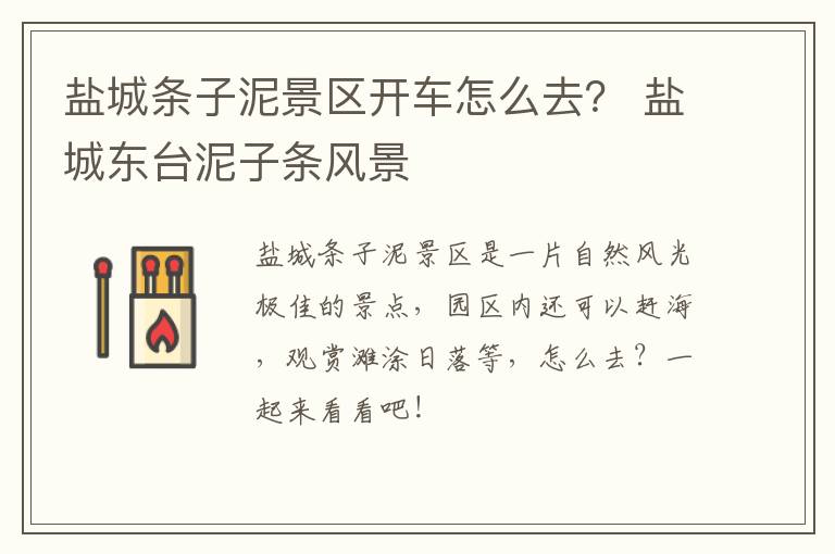盐城条子泥景区开车怎么去？ 盐城东台泥子条风景