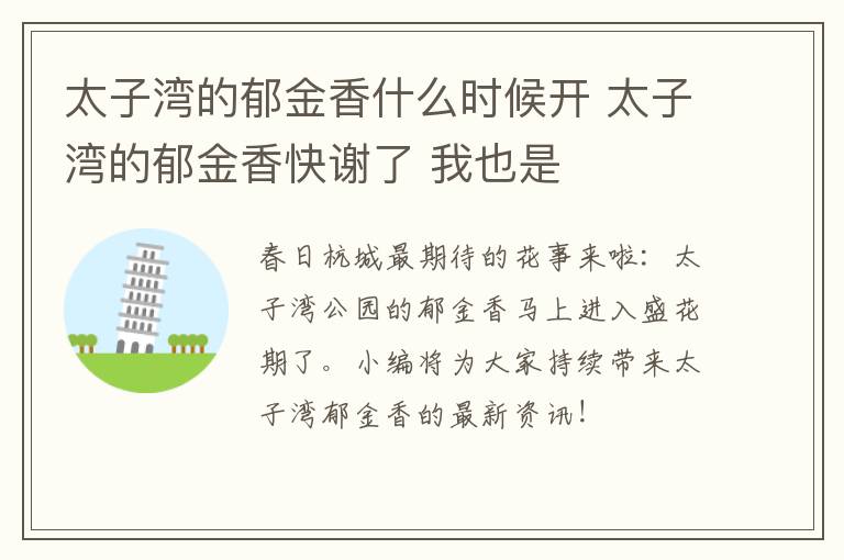 太子湾的郁金香什么时候开 太子湾的郁金香快谢了 我也是