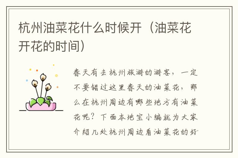 杭州油菜花什么时候开（油菜花开花的时间）