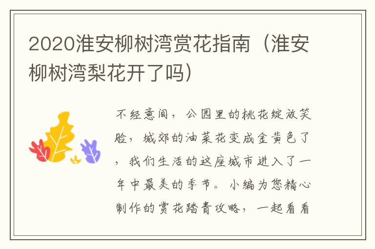 2020淮安柳树湾赏花指南（淮安柳树湾梨花开了吗）