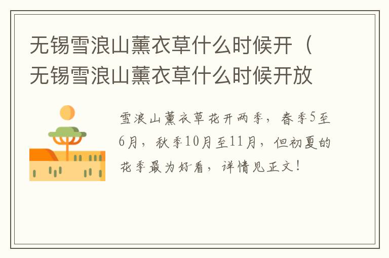 无锡雪浪山薰衣草什么时候开（无锡雪浪山薰衣草什么时候开放的）