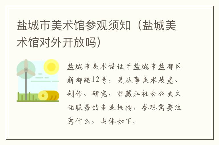 盐城市美术馆参观须知（盐城美术馆对外开放吗）