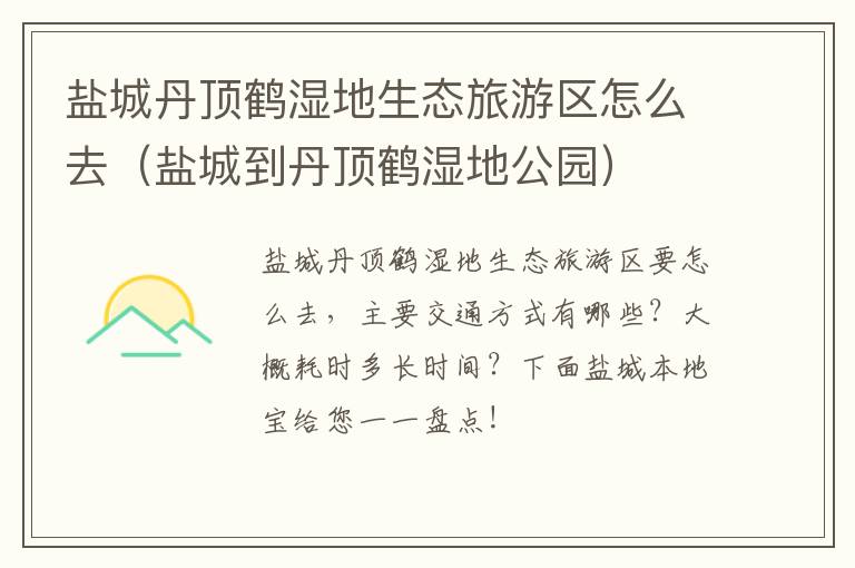 盐城丹顶鹤湿地生态旅游区怎么去（盐城到丹顶鹤湿地公园）