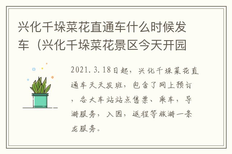 兴化千垛菜花直通车什么时候发车（兴化千垛菜花景区今天开园等你来）