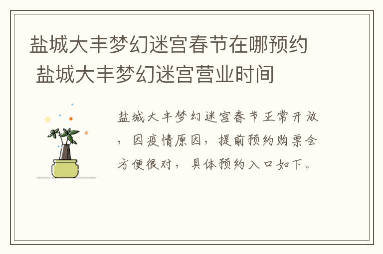 盐城大丰梦幻迷宫春节在哪预约 盐城大丰梦幻迷宫营业时间