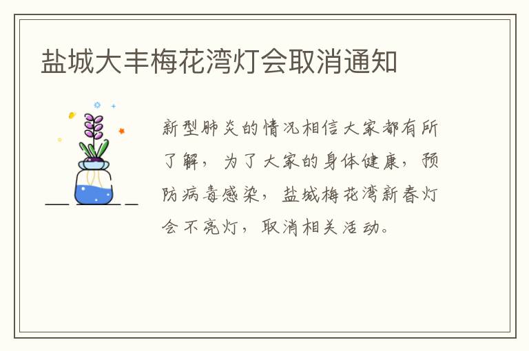 盐城大丰梅花湾灯会取消通知