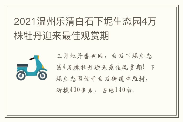 2021温州乐清白石下坭生态园4万株牡丹迎来最佳观赏期