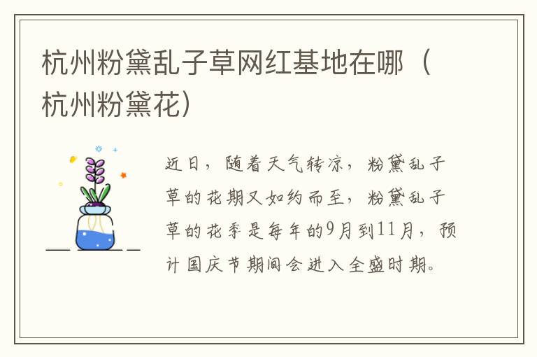 杭州粉黛乱子草网红基地在哪（杭州粉黛花）