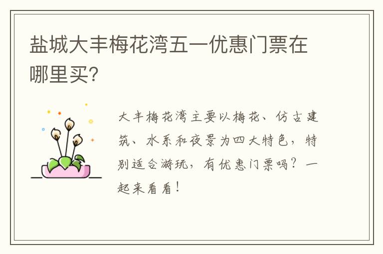 盐城大丰梅花湾五一优惠门票在哪里买？