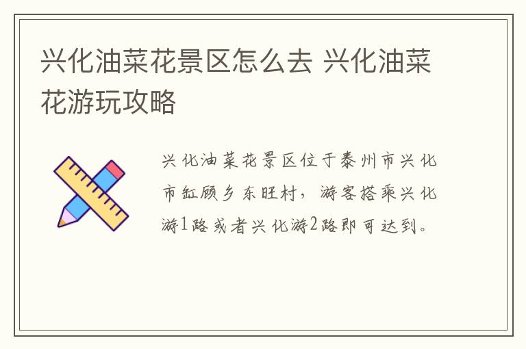 兴化油菜花景区怎么去 兴化油菜花游玩攻略