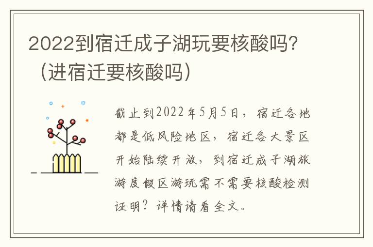 2022到宿迁成子湖玩要核酸吗？（进宿迁要核酸吗）