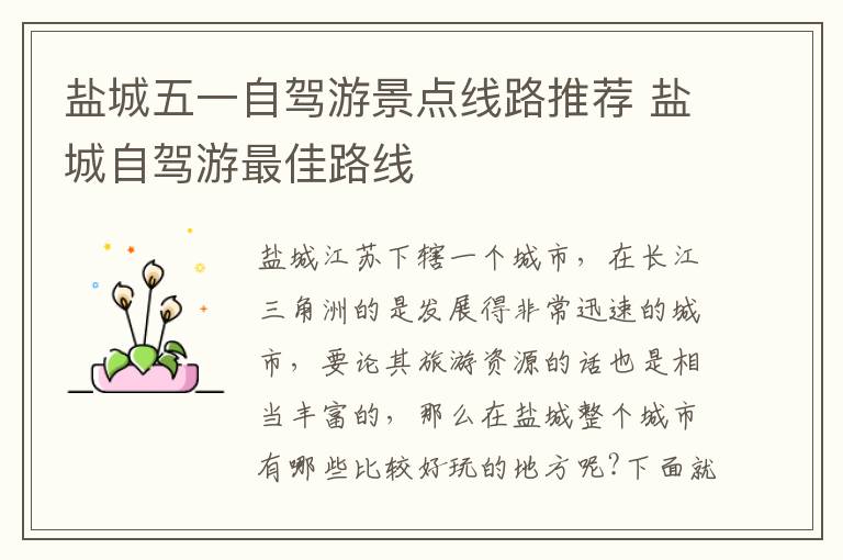 盐城五一自驾游景点线路推荐 盐城自驾游最佳路线