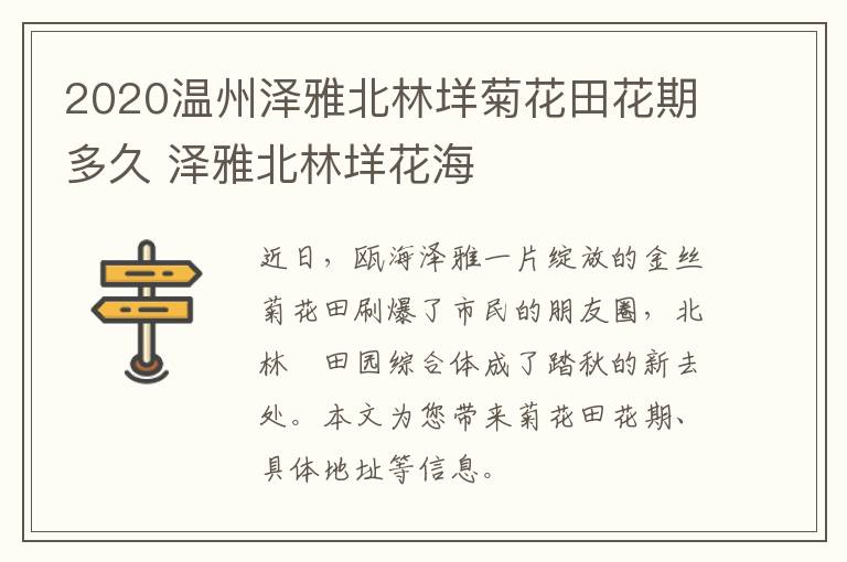 2020温州泽雅北林垟菊花田花期多久 泽雅北林垟花海