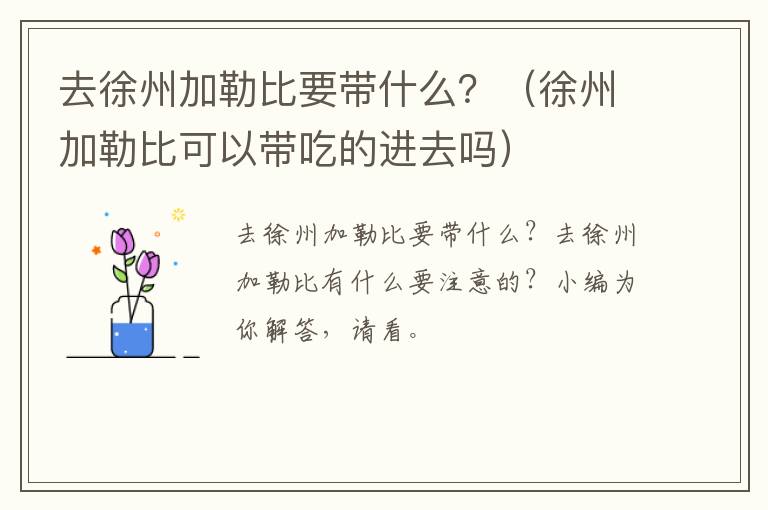 去徐州加勒比要带什么？（徐州加勒比可以带吃的进去吗）
