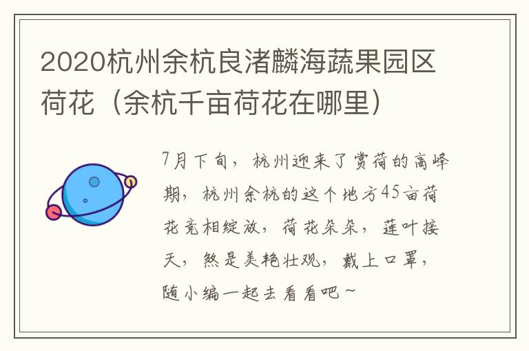 2020杭州余杭良渚麟海蔬果园区荷花（余杭千亩荷花在哪里）