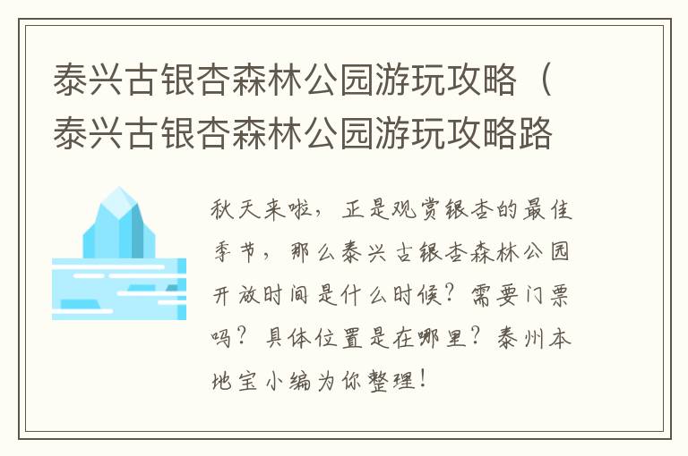 泰兴古银杏森林公园游玩攻略（泰兴古银杏森林公园游玩攻略路线）