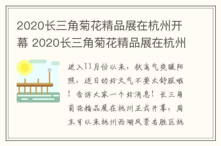 2020长三角菊花精品展在杭州开幕 2020长三角菊花精品展在杭州开幕吗