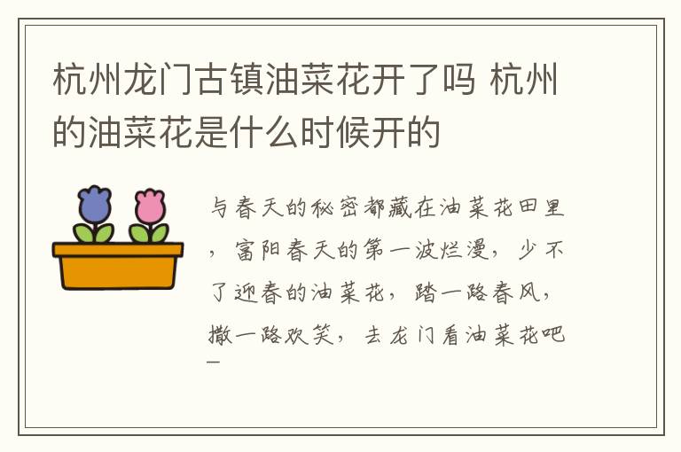 杭州龙门古镇油菜花开了吗 杭州的油菜花是什么时候开的