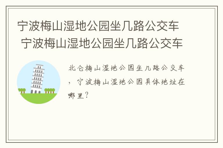 宁波梅山湿地公园坐几路公交车 宁波梅山湿地公园坐几路公交车能到