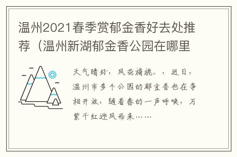 温州2021春季赏郁金香好去处推荐（温州新湖郁金香公园在哪里）
