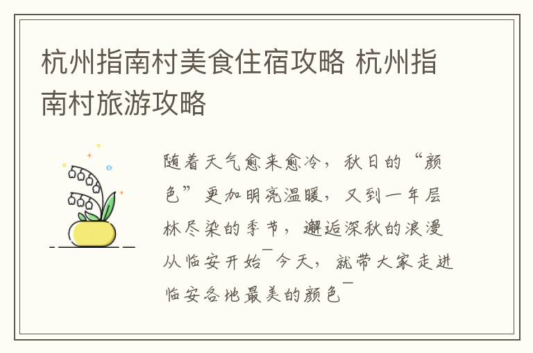 杭州指南村美食住宿攻略 杭州指南村旅游攻略