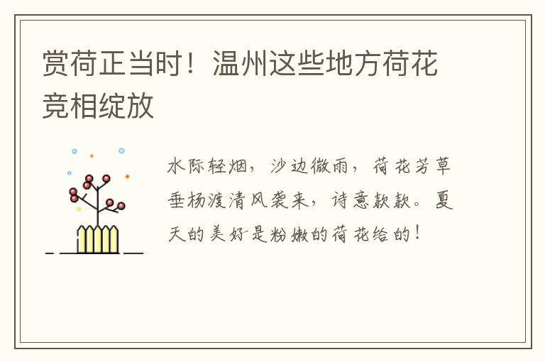 赏荷正当时！温州这些地方荷花竞相绽放