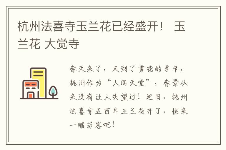杭州法喜寺玉兰花已经盛开！ 玉兰花 大觉寺