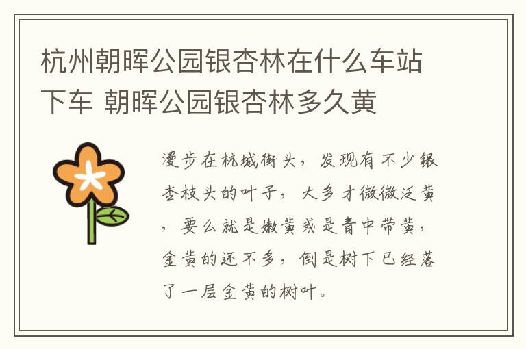 杭州朝晖公园银杏林在什么车站下车 朝晖公园银杏林多久黄