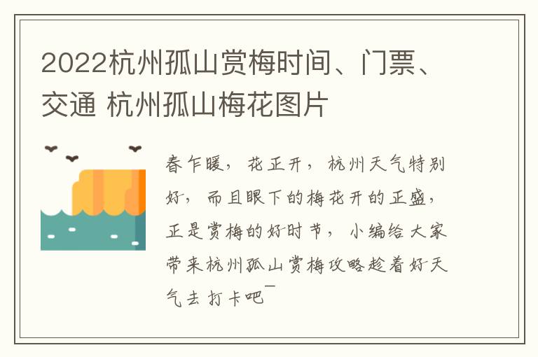 2022杭州孤山赏梅时间、门票、交通 杭州孤山梅花图片