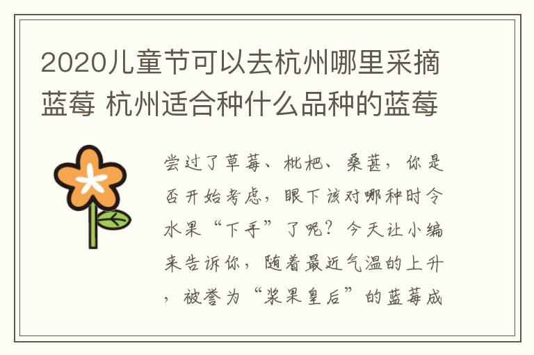 2020儿童节可以去杭州哪里采摘蓝莓 杭州适合种什么品种的蓝莓