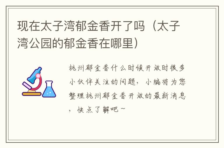 现在太子湾郁金香开了吗（太子湾公园的郁金香在哪里）
