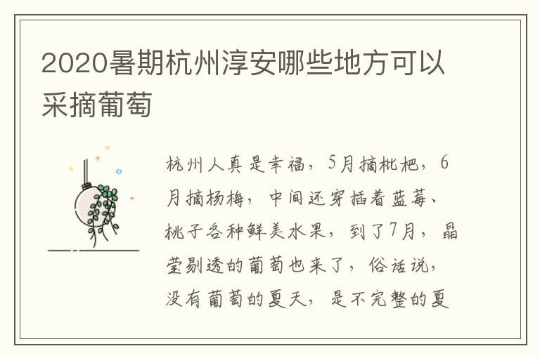 2020暑期杭州淳安哪些地方可以采摘葡萄