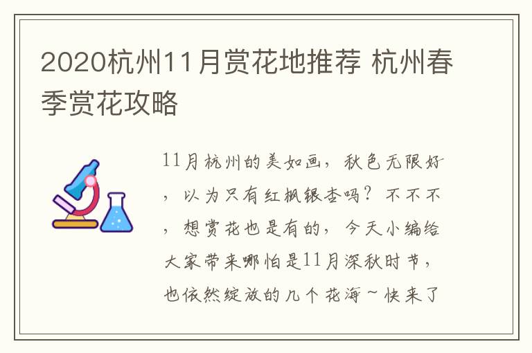 2020杭州11月赏花地推荐 杭州春季赏花攻略