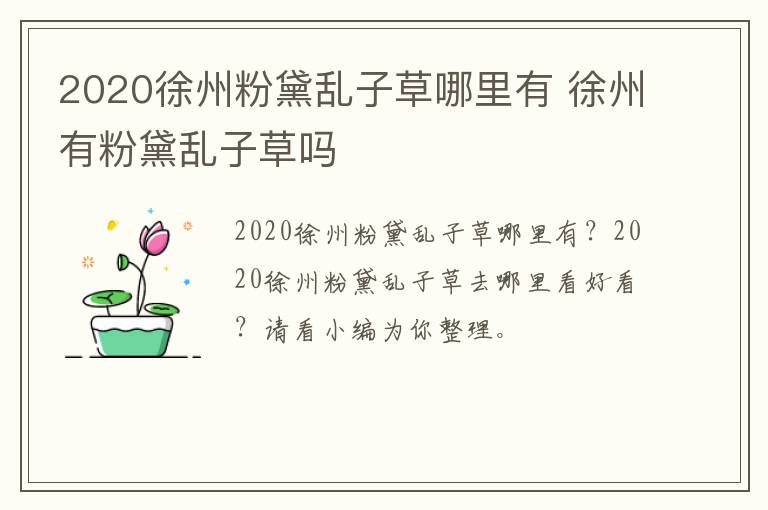 2020徐州粉黛乱子草哪里有 徐州有粉黛乱子草吗