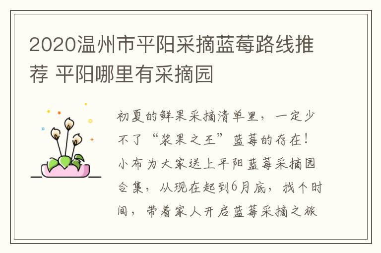 2020温州市平阳采摘蓝莓路线推荐 平阳哪里有采摘园