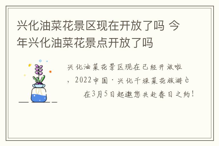 兴化油菜花景区现在开放了吗 今年兴化油菜花景点开放了吗