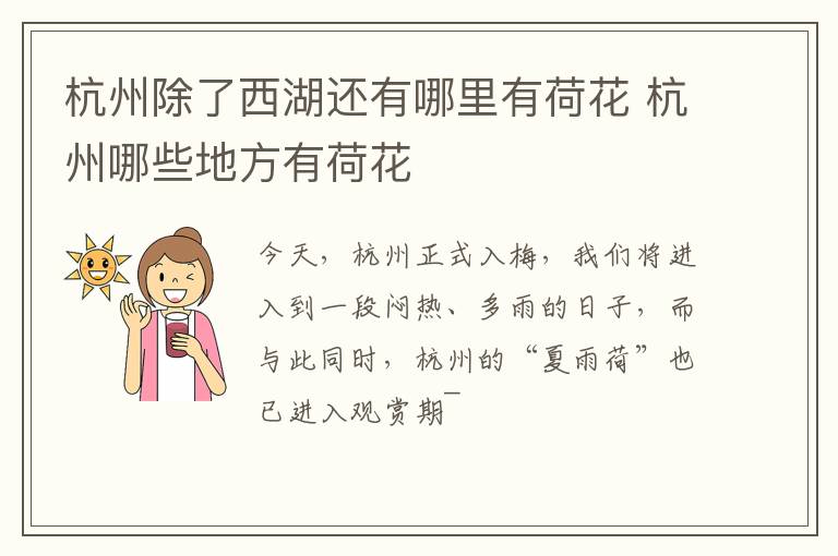 杭州除了西湖还有哪里有荷花 杭州哪些地方有荷花