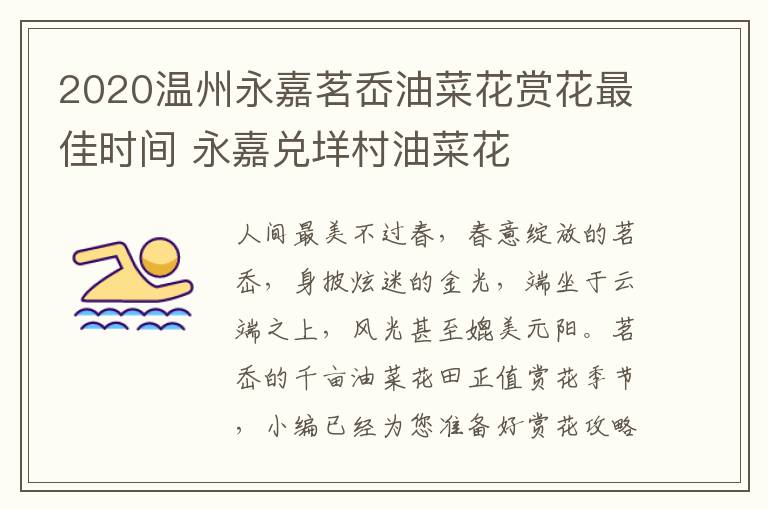 2020温州永嘉茗岙油菜花赏花最佳时间 永嘉兑垟村油菜花