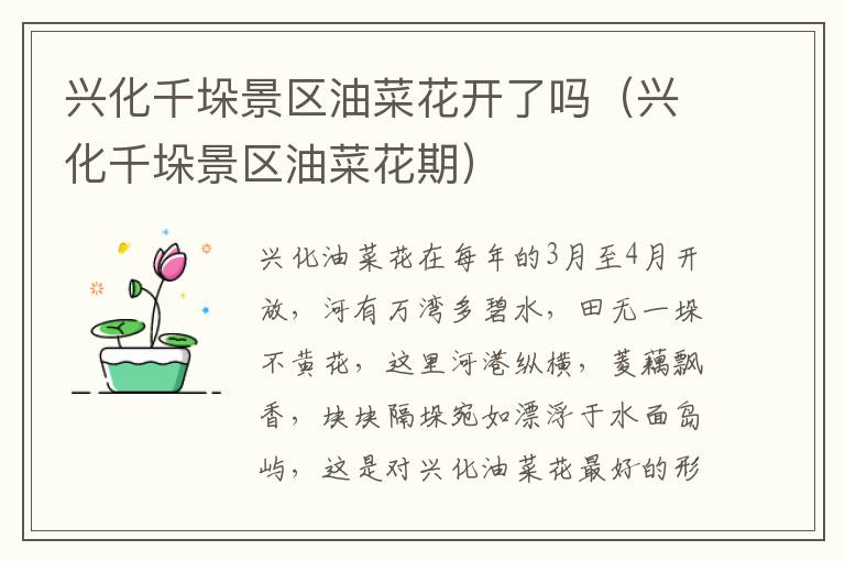 兴化千垛景区油菜花开了吗（兴化千垛景区油菜花期）