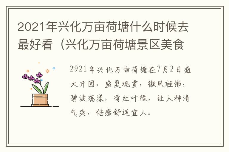 2021年兴化万亩荷塘什么时候去最好看（兴化万亩荷塘景区美食）