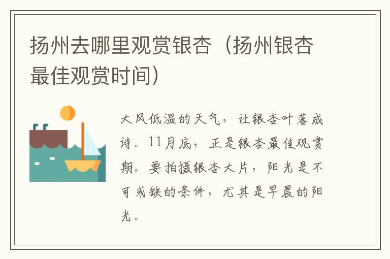 扬州去哪里观赏银杏（扬州银杏最佳观赏时间）